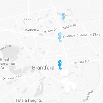 Aquiform East - Brantford (Morton)