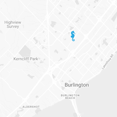 Aquiform East - Burlington Aquiform Est - Burlington