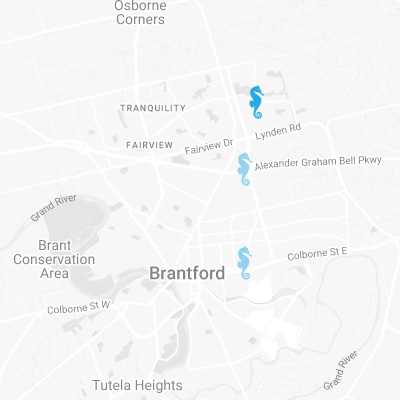 Aquiform East - Brantford (Easton) Aquiform East - Brantford (Easton)