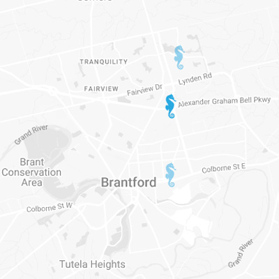 Aquiform East - Brantford (Iroquois) Aquiform Est - Brantford (Iroquois)