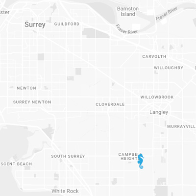 Aquiform - Surrey Aquiform - Surrey